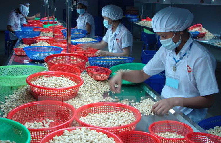 Объем двусторонней торговли между Вьетнамом и Канадой резко вырос за 9 месяцев